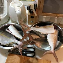 伊勢湾ジギング